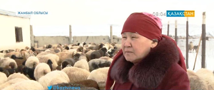 Қамар Бегалиева: Отбасылық бизнес-табыс көзі