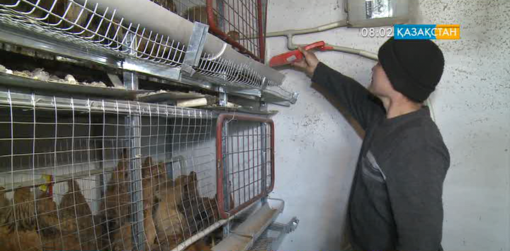 ШҚО-да «Жұмыспен қамту 2020 жол картасы» бағдарламасының арқасында жеке кәсіпкерлік дамып келеді