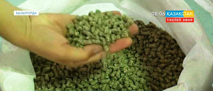 Қызылордада тәулігіне 80 тонна өнім шығаратын құрама жем зауыты іске қосылмақ