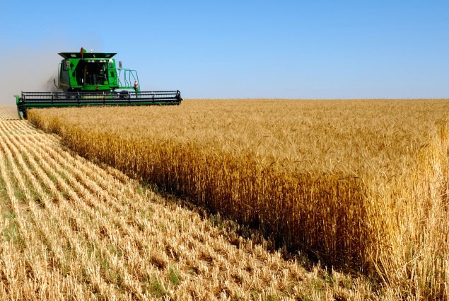 Биыл елімізде 20 млн. тоннадан астам астық жинау көзделген - Н.Назарбаев