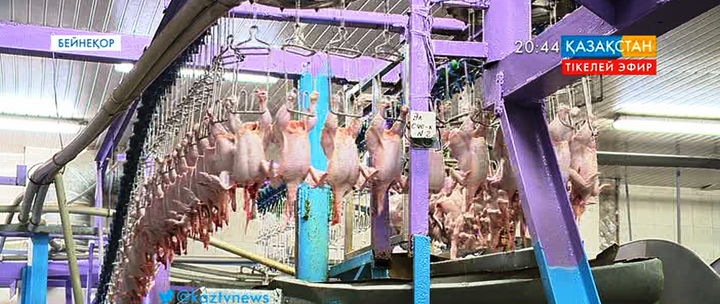 Ұлттық экономика министрлігі Ресей мен Украинадан әкелінетін құс етін сатуға тыйым салды