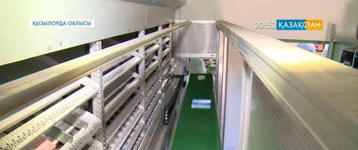 Қызылордалық дәріханада робот жұмыс істейді