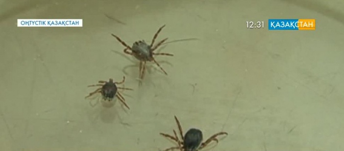 Зарегистрирован пятый случай заражения конго-крымской геморрагической лихорадкой