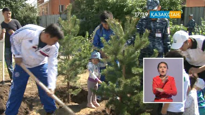 Елорданың 16 жылдық тойына - 16 шырша