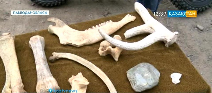 Павлодарлық байкерлер палеонтологиялық экспедиция ұйымдастырды