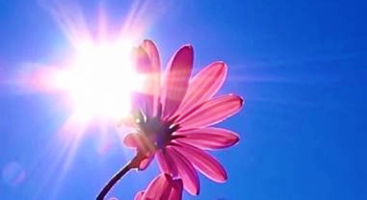 Конституция күнінде ауа райы жылы болады