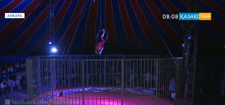 Қазақ циркі Анкарада өнер көрсетуде