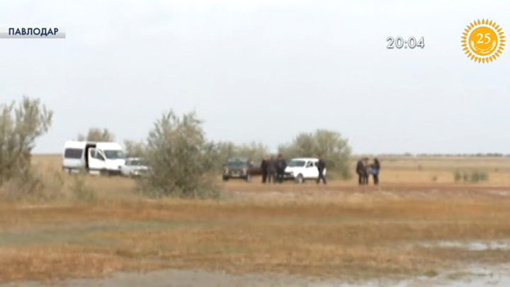 Павлодарда полицейлер артемия шаяндарын аулағандарды  ұстады