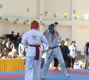 Кекушинкай-каратэден Әлем чемпионаты аяқталды