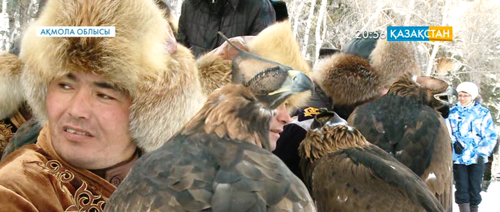 Ақмола облысында «Қансонар-2014» бүркітшілер жарысы өтті
