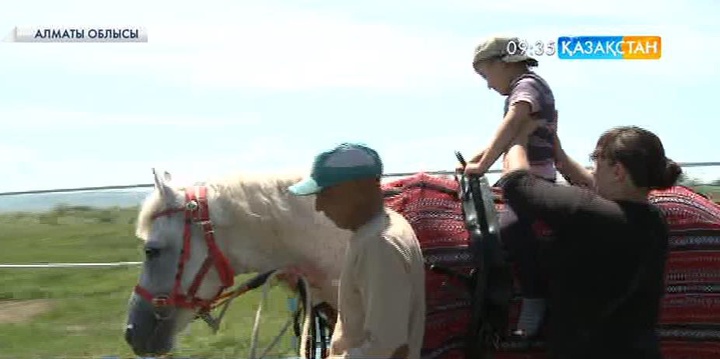 Талдықорғанда сал дертіне шалдыққан балдырғандар тегін иппотерапия курстарынан өтуде
