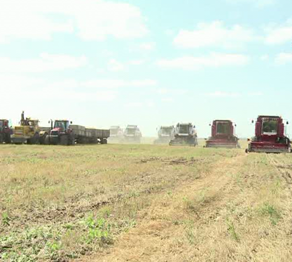 Экономиканы өрге сүйрейтін саланың бірі – ауыл шаруашылығы