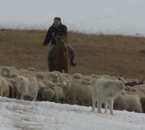 Жетісуға көктем келді