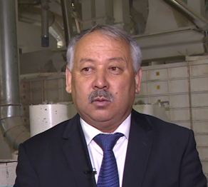 Қазақ кәсіпкерлері өндірген күріш Ресейге экспортталуда