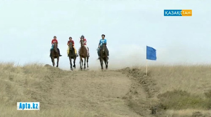 Шашасына шаң жұқпаған Шалқұйрықтар көбейсін! (БЕЙНЕБАЯН)