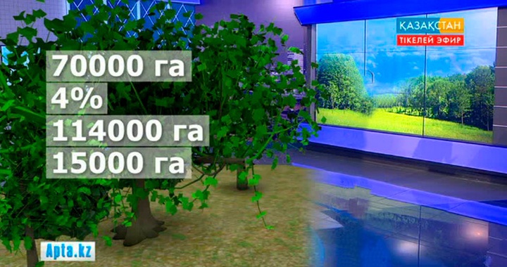 Астанадағы орман алқабы Шортандыға дейін жеткізіледі