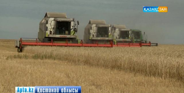 Қызу науқанға ауа райы кедергі болып тұр