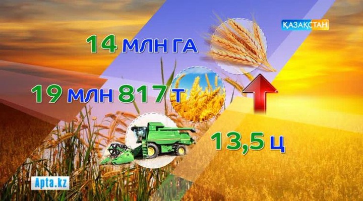 Еліміздің астықты аймақтарында орақ науқаны аяқталды