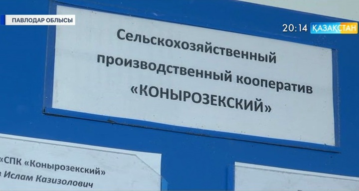 Павлодар облысында ауыл шаруашылығы кооперативтерін ашуға 70-тен аса ұсыныс түскен