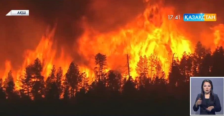 АҚШ-тың Аризона штатындағы орман өрті тұрғындарға қатер төндіруде