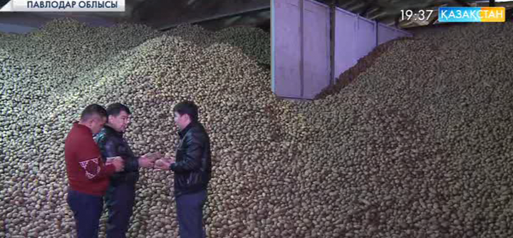 Керекулік диқандар мол өнім алды