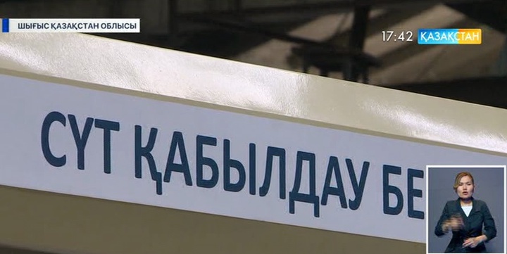 Шығыс Қазақстанда сүт өндіретін кәсіпорындар көбейді
