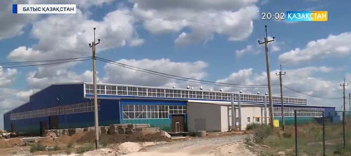 Еліміздің батысында мал басының өсімі байқалады