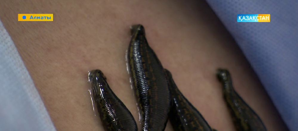 Әдемі әйелдердің бөкселерінің эротикалық фотосуреттері, төменгі көрініс