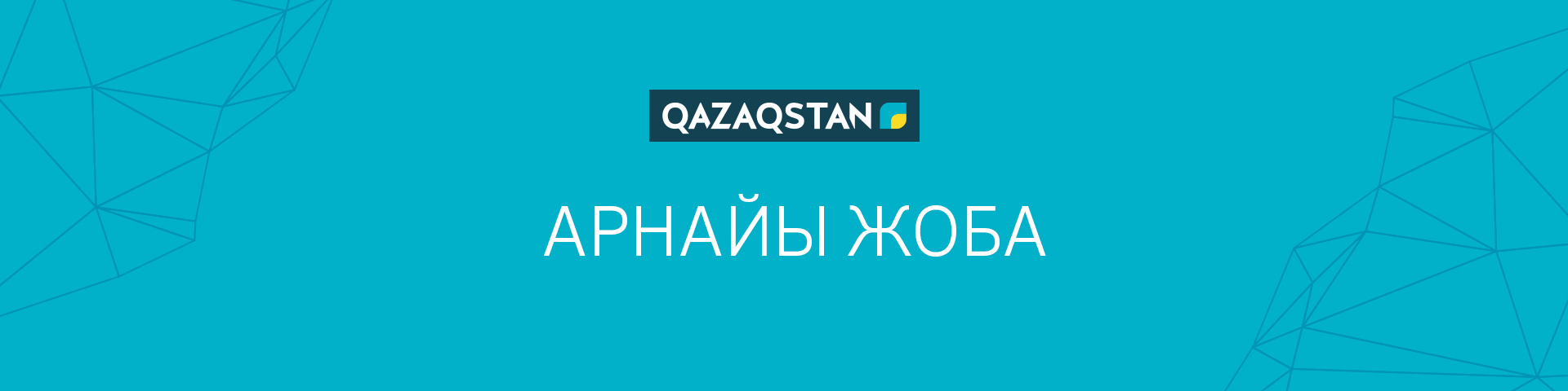 Арнайы жоба